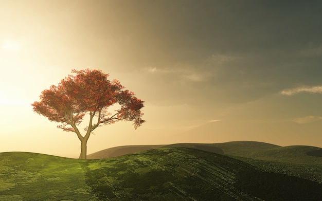 Beautiful tree in the countryside