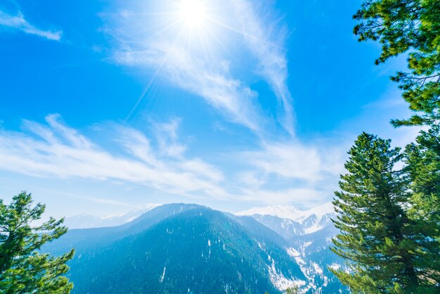 Beautiful tree and snow covered mountains landscape Kashmir state, India