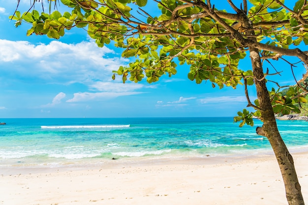 Free photo beautiful tropical beach sea ocean with coconut and other tree around white cloud on blue sky