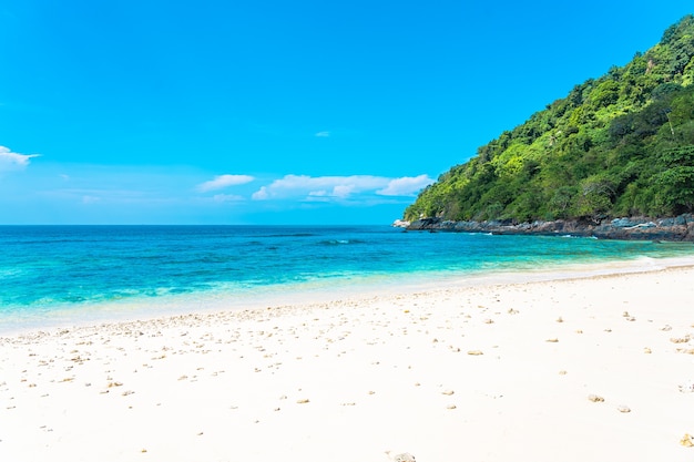 Free photo beautiful tropical beach sea ocean with coconut and other tree around white cloud on blue sky