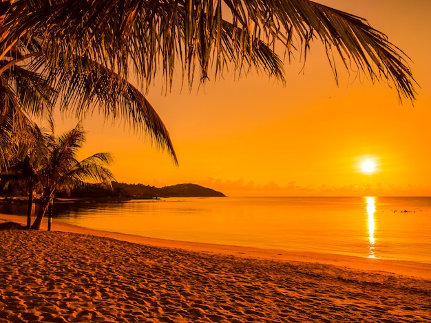 Beautiful tropical beach sea and ocean with coconut palm tree at sunrise time