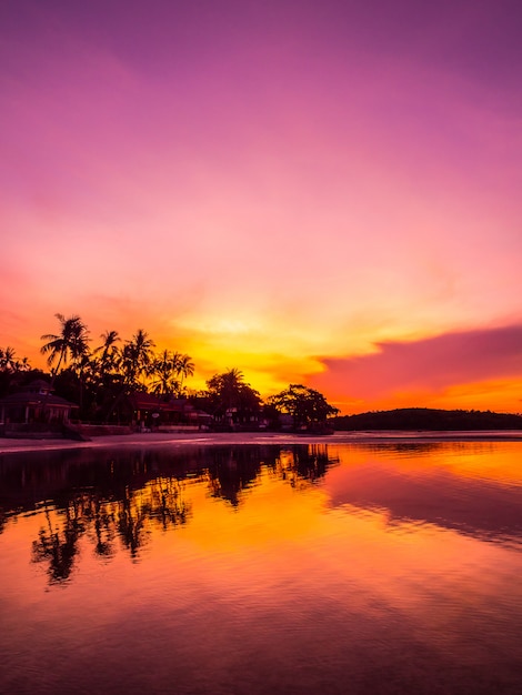 Beautiful tropical beach sea and ocean with coconut palm tree at sunrise time