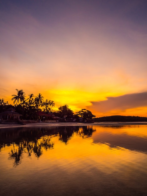 Beautiful tropical beach sea and ocean with coconut palm tree at sunrise time