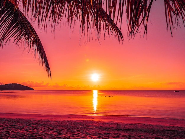 Free photo beautiful tropical beach sea and ocean with coconut palm tree at sunrise time