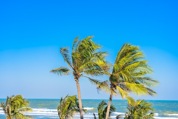 Beautiful tropical beach sea ocean with palm tree on blue sky