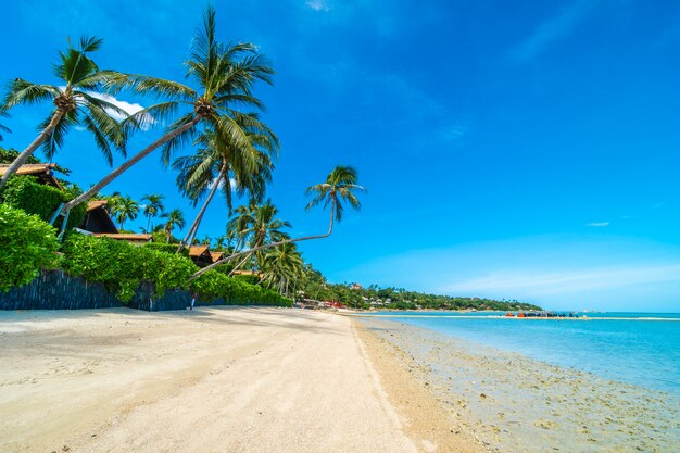 Beautiful tropical beach sea and sand with coconut palm tree on blue sky and white cloud