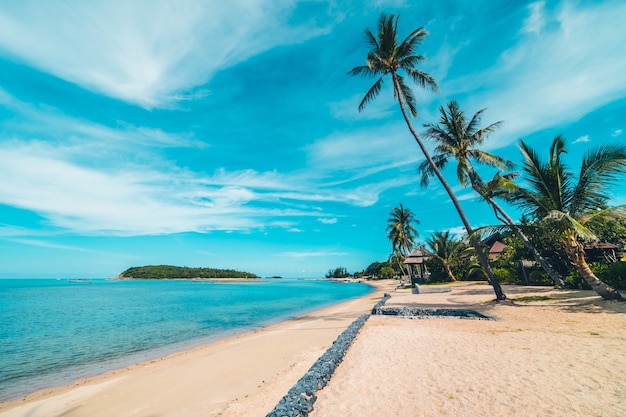 Beautiful tropical beach sea and sand with coconut palm tree on blue sky and white cloud