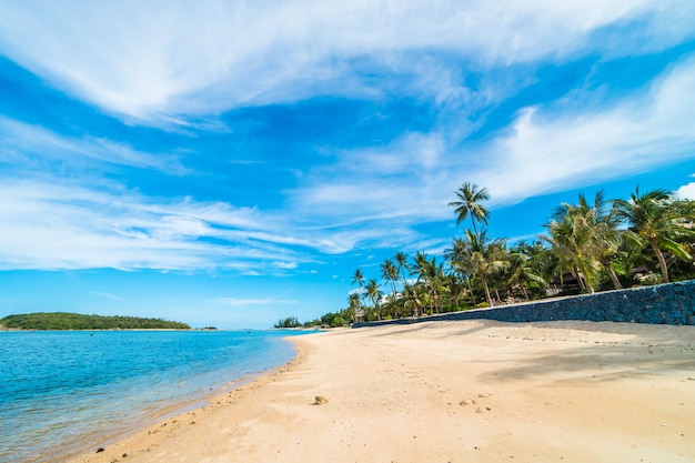 Beautiful tropical beach sea and sand with coconut palm tree on blue sky and white cloud