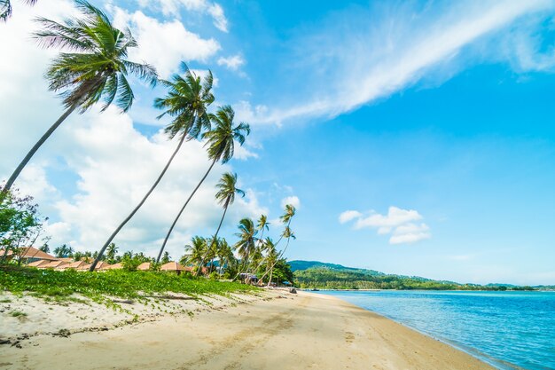 Beautiful tropical beach and sea with coconut palm tree