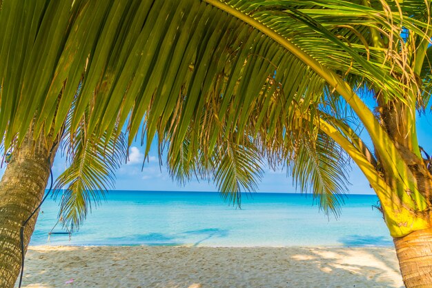 Beautiful tropical beach and sea