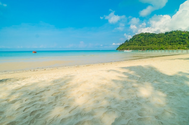 Beautiful tropical beach and sea 