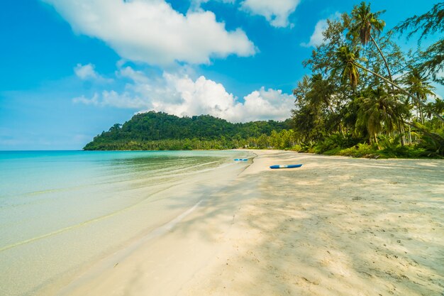 Beautiful tropical beach and sea 