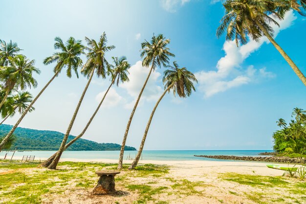 Beautiful tropical beach and sea 