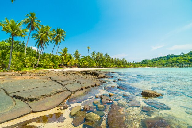 Beautiful tropical beach and sea 