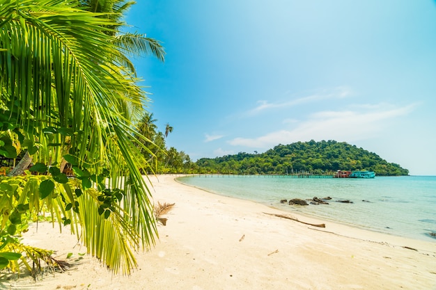 Beautiful tropical beach and sea 