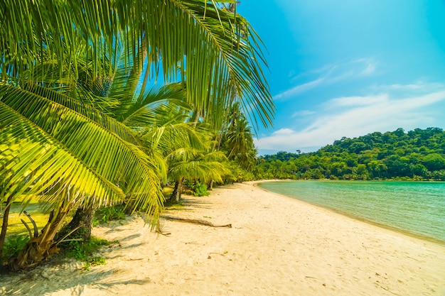 Beautiful tropical beach and sea 