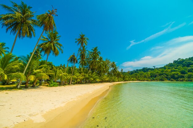 Beautiful tropical beach and sea