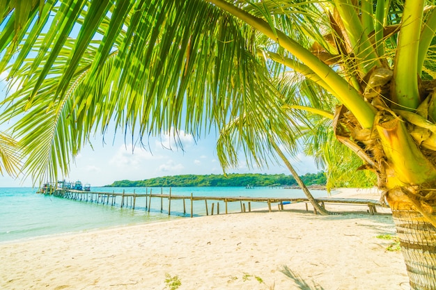 Beautiful tropical beach and sea 