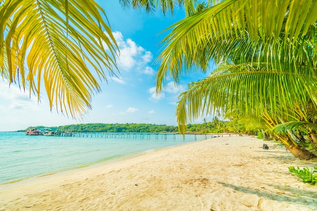 Free Photo beautiful tropical beach and sea