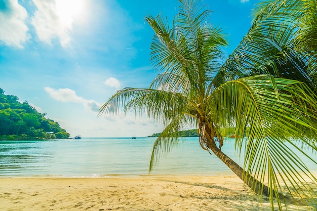 Beautiful tropical beach and sea 