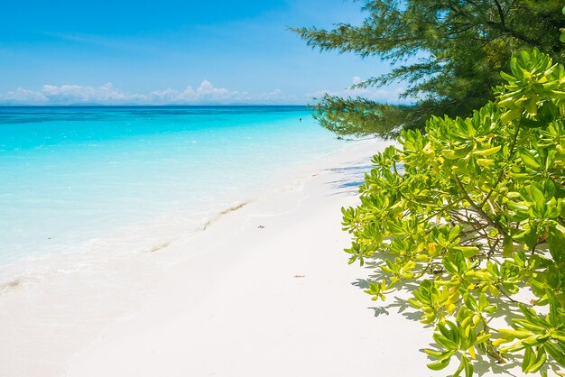 Beautiful tropical beach