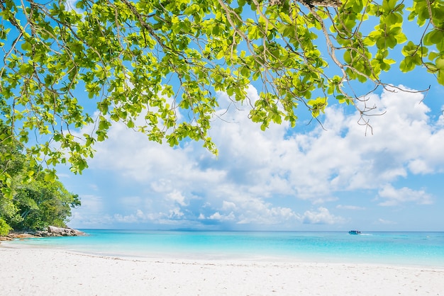 Beautiful tropical beach