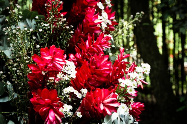 Beautiful tropical flowers with blurred background