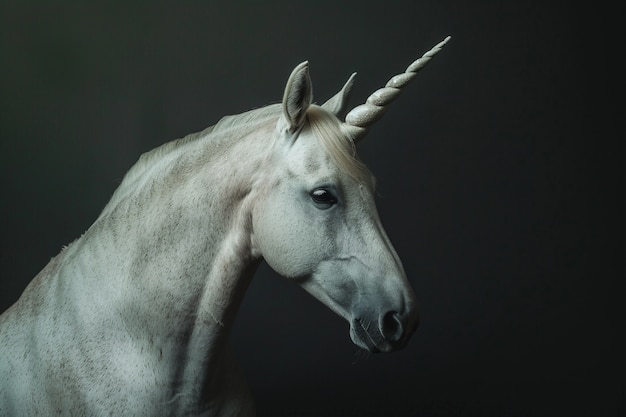 Free photo beautiful unicorn head