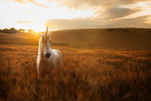 Free photo beautiful unicorn in nature composition