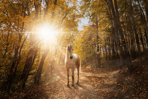 Beautiful unicorn in nature composition