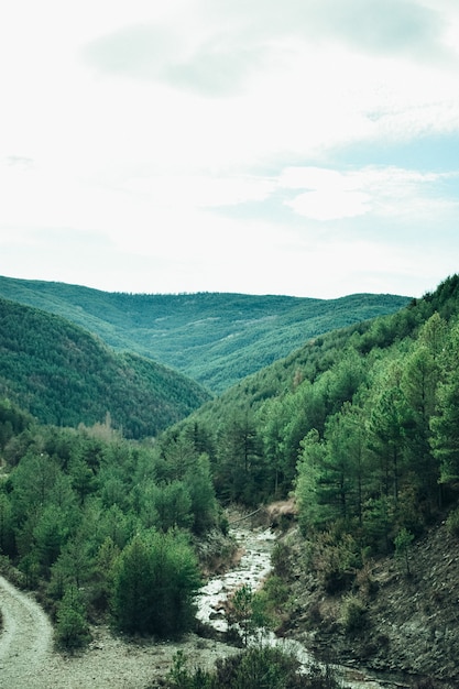 Free photo beautiful valley landscape with a river