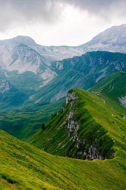 Free photo beautiful vertical shot of a long mountain peak covered in green grass. perfect for a wallpaper