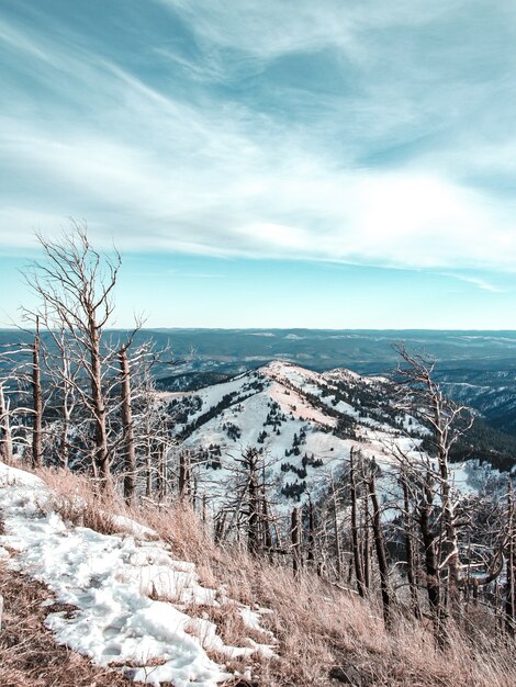 Beautiful vertical shot of snowy mountains and a blue sky