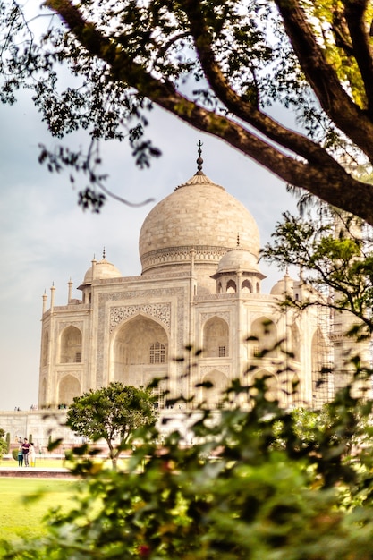 Free Photo beautiful vertical shot of taj mahal building in agra india with trees nearby