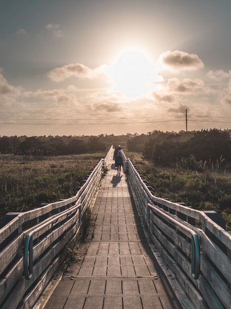 Free Photo beautiful vertical symmetric shot of a wooden bridge leading to the beach taken at golden hour