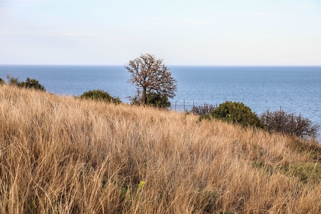 Free photo beautiful view of the blue sea from the coast at skiathos island in greece