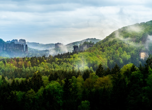 Free photo beautiful view of the bohemian switzerland landscape in czech republic with trees