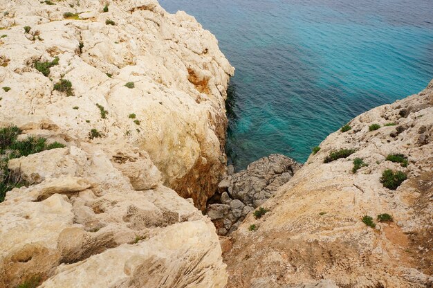 Beautiful view of the cliff near the shore of a calm ocean on a sunny day