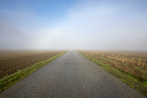 Free photo beautiful view of a concrete road with a field on the sides covered with thick fog