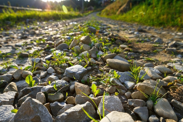 Free photo beautiful view of countryside road focus on rocks