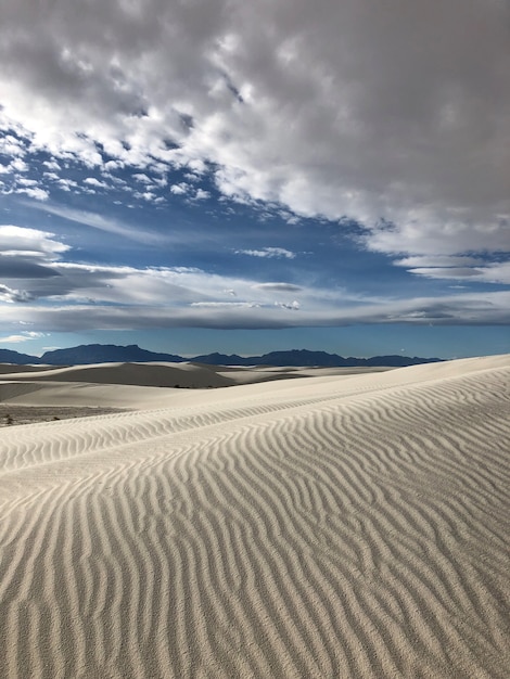 Free Photo beautiful view of the desert covered with wind-swept sand in new mexico - perfect for background