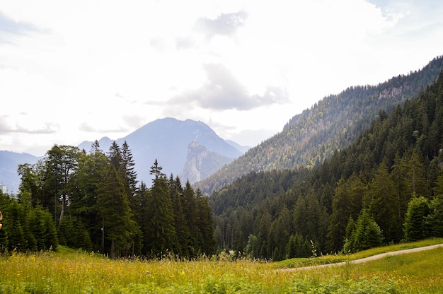 Free photo beautiful view of a field with flowers and high mountains in germany