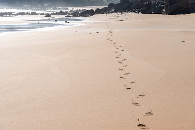 Free photo beautiful view of the footsteps on the beach sand near the shore with rocks in the background