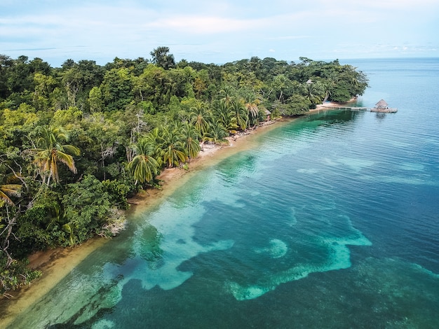 Free photo beautiful view of an island with a jungle