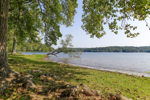 Free Photo beautiful view of a lake in arkansas, usa