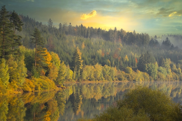 Beautiful view of the lake and the trees in the forest on a cloudy fall day