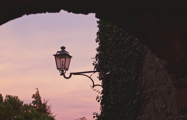 Free Photo beautiful view of a leaf covered stone wall and a street lamp under the colorful sky