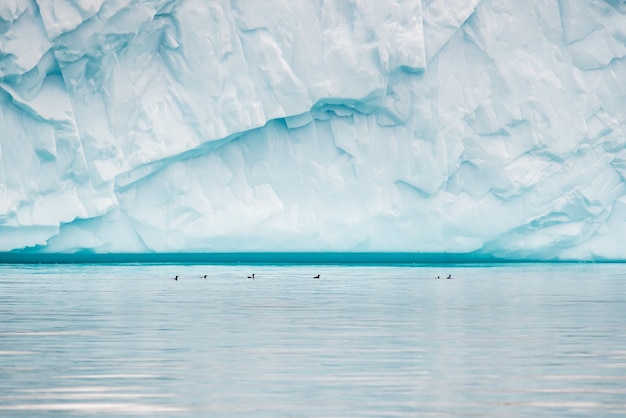 Free Photo beautiful view of the massive iceberg in disko bay, greenland