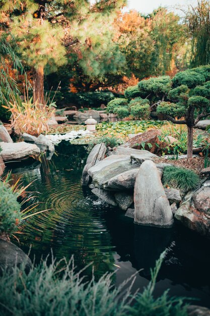 Beautiful view of mesmerizing nature at traditional styled Japanese Adelaide Himeji Gardens