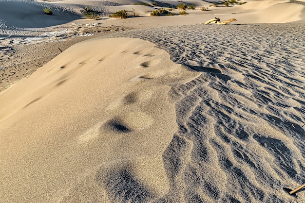 Free photo beautiful view of mesquite flat sand dunes at death valley national park in california, usa